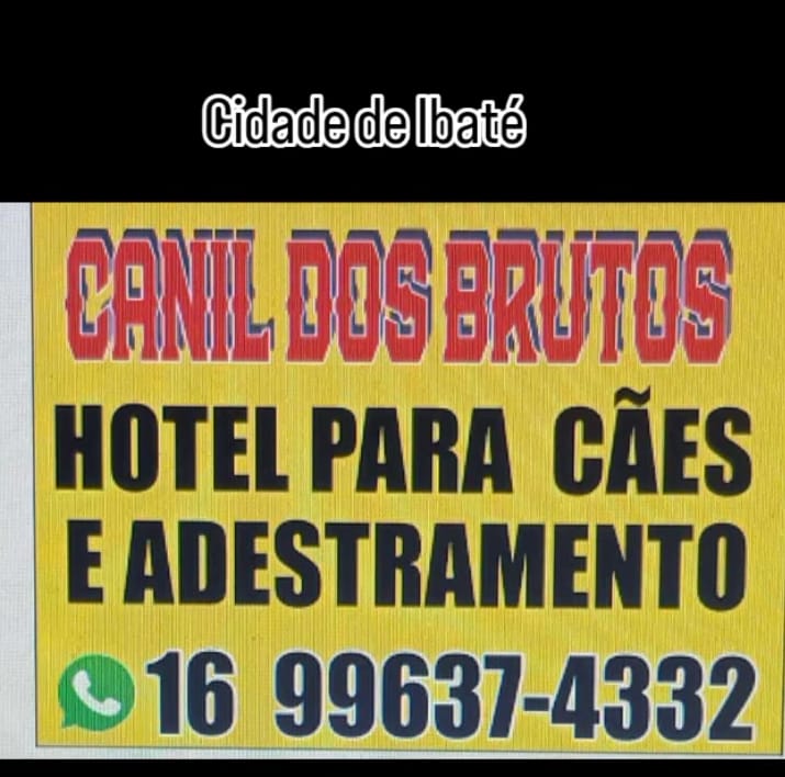 Vai viajar? Trabalhar o dia todo?Seu pet não precisa ficar sozinho nem triste!