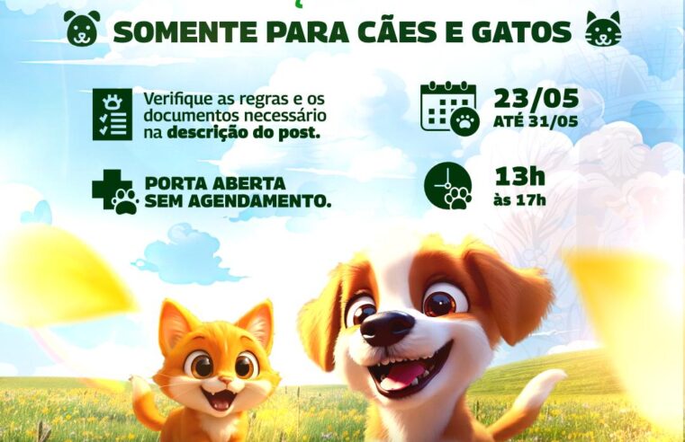 Ibaté dará início a mobilização de vacinação antirrábica no Centro de Controle de Zoonoses