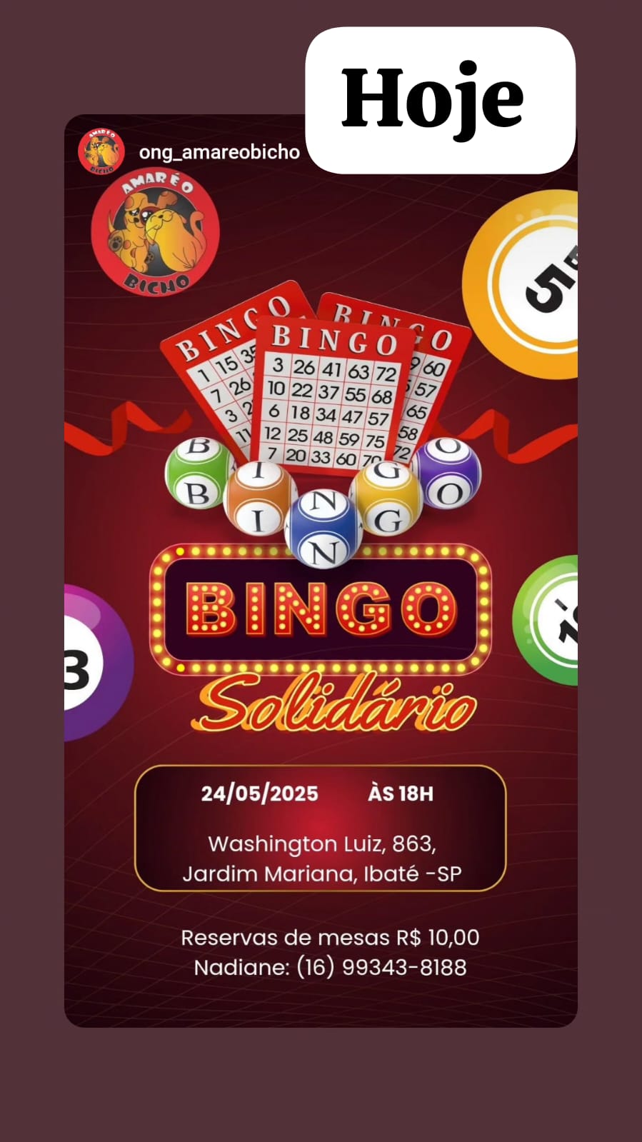 É HOJE!Uma noite de diversão, prêmios e solidariedade te espera no Bingo Solidário da ONG Amar é o Bicho!