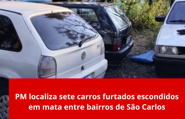 PM localiza sete carros furtados escondidos em mata entre bairros de São Carlos