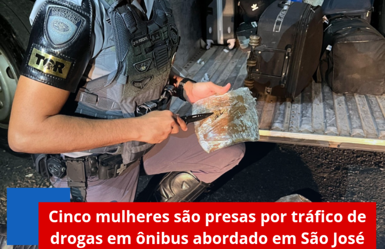 Cinco mulheres são presas por tráfico de drogas em ônibus abordado em São José do Rio Preto
