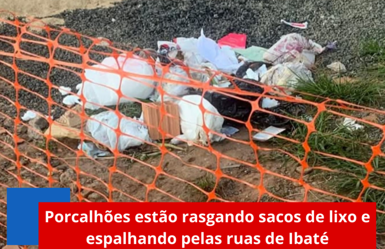 Porcalhões estão rasgando sacos de lixo e espalhando pelas ruas de Ibaté