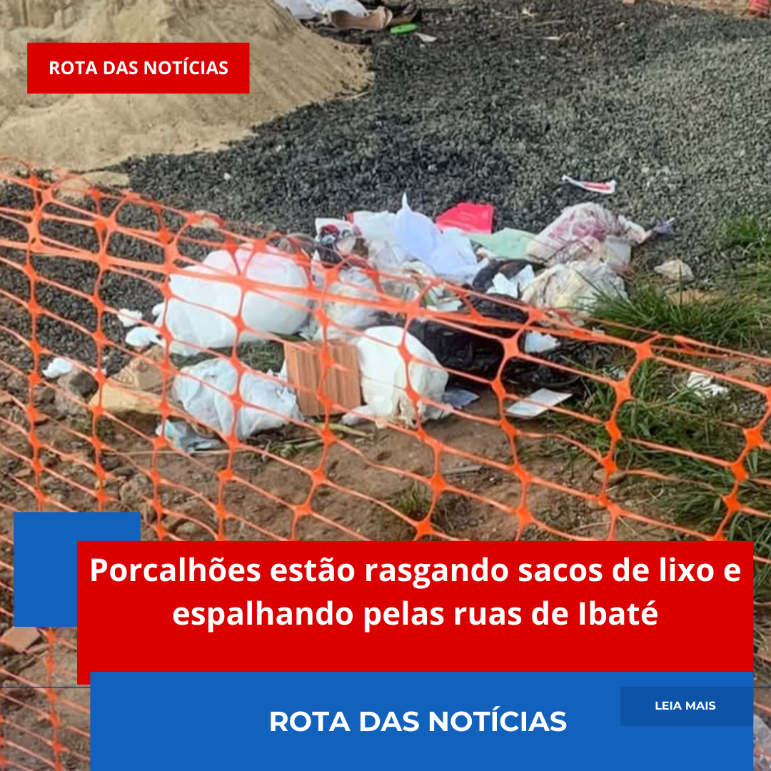 Porcalhões estão rasgando sacos de lixo e espalhando pelas ruas de Ibaté
