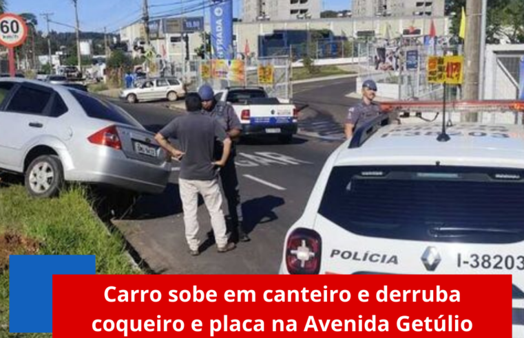 Carro sobe em canteiro e derruba coqueiro e placa na Avenida Getúlio Vargas, em São Carlos