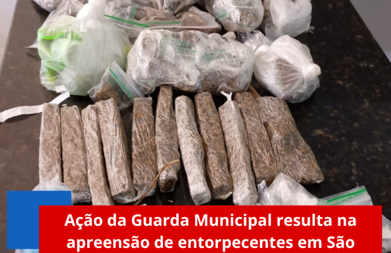 Ação da Guarda Municipal resulta na apreensão de entorpecentes em São Carlos