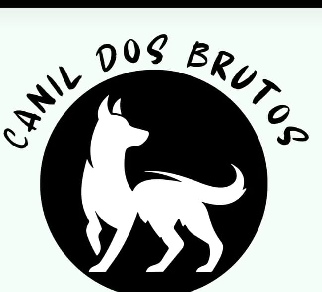 🚨 NOVIDADE NO AR: SEGURANÇA DE VERDADE TEM QUATRO PATAS! 🐕🦺