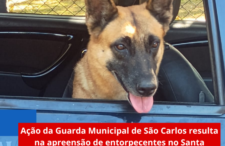 Ação da Guarda Municipal de São Carlos resulta na apreensão de entorpecentes no Santa Angelina