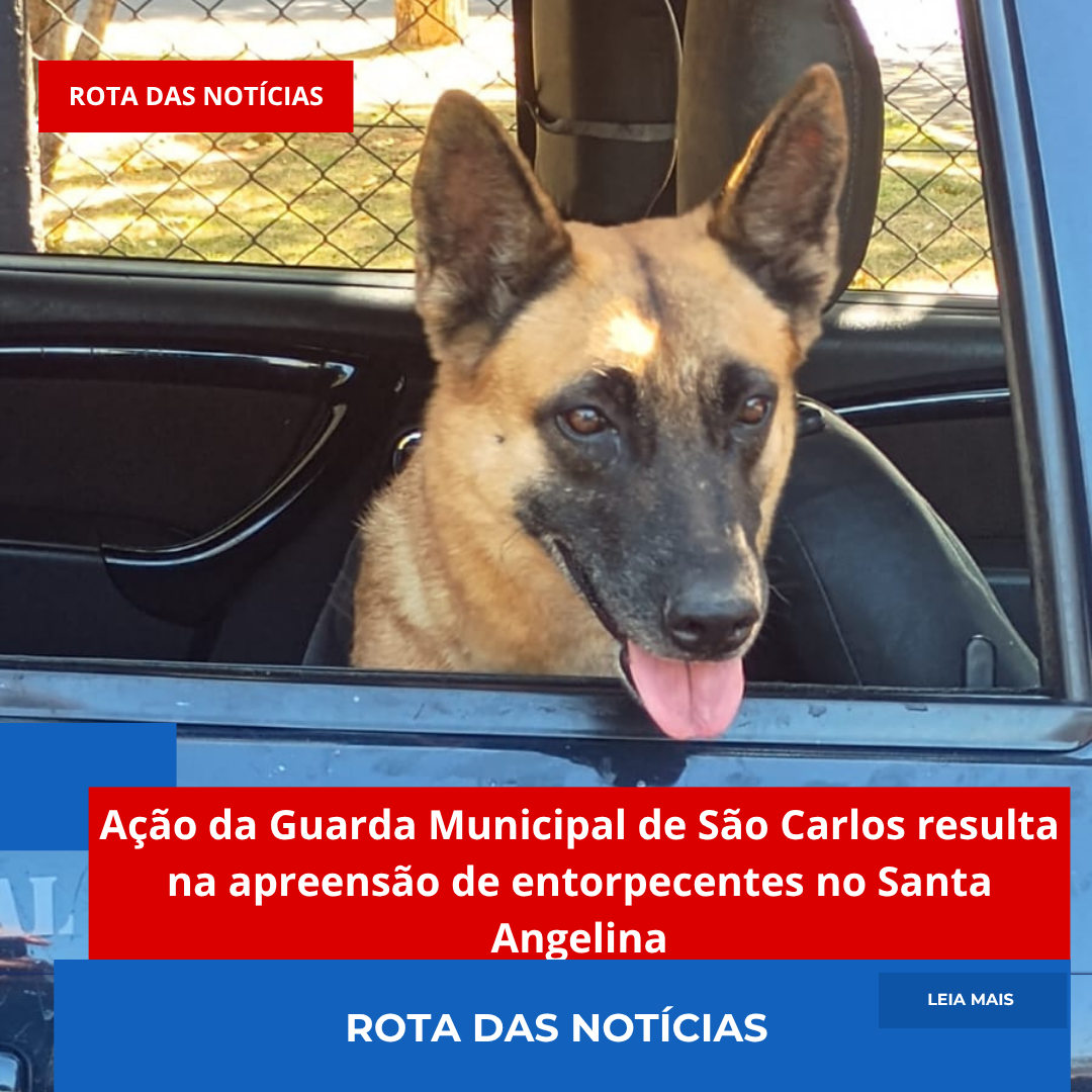 Ação da Guarda Municipal de São Carlos resulta na apreensão de entorpecentes no Santa Angelina
