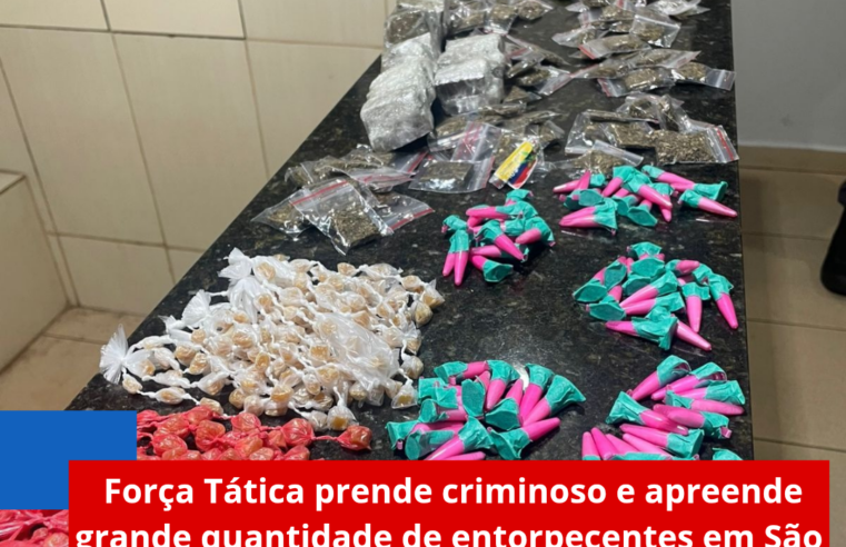 Força Tática prende criminoso e apreende grande quantidade de entorpecentes em São Carlos