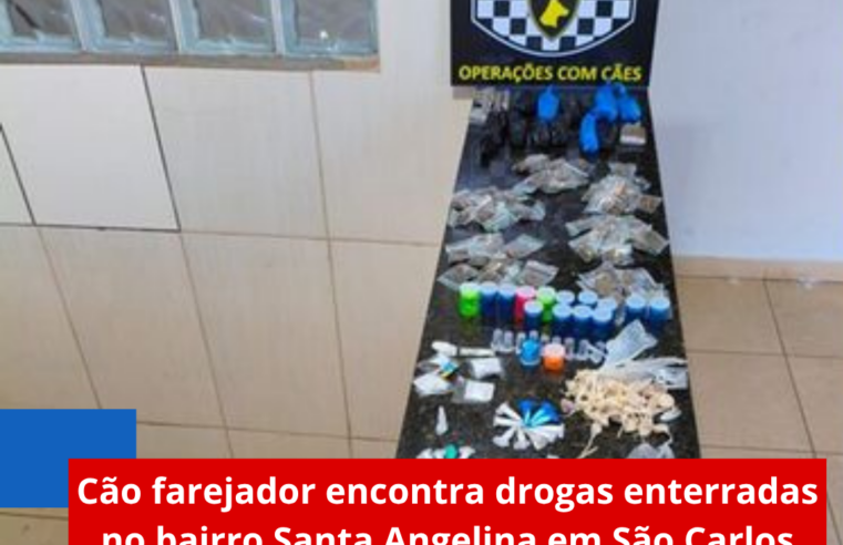 Cão farejador encontra drogas enterradas no bairro Santa Angelina em São Carlos
