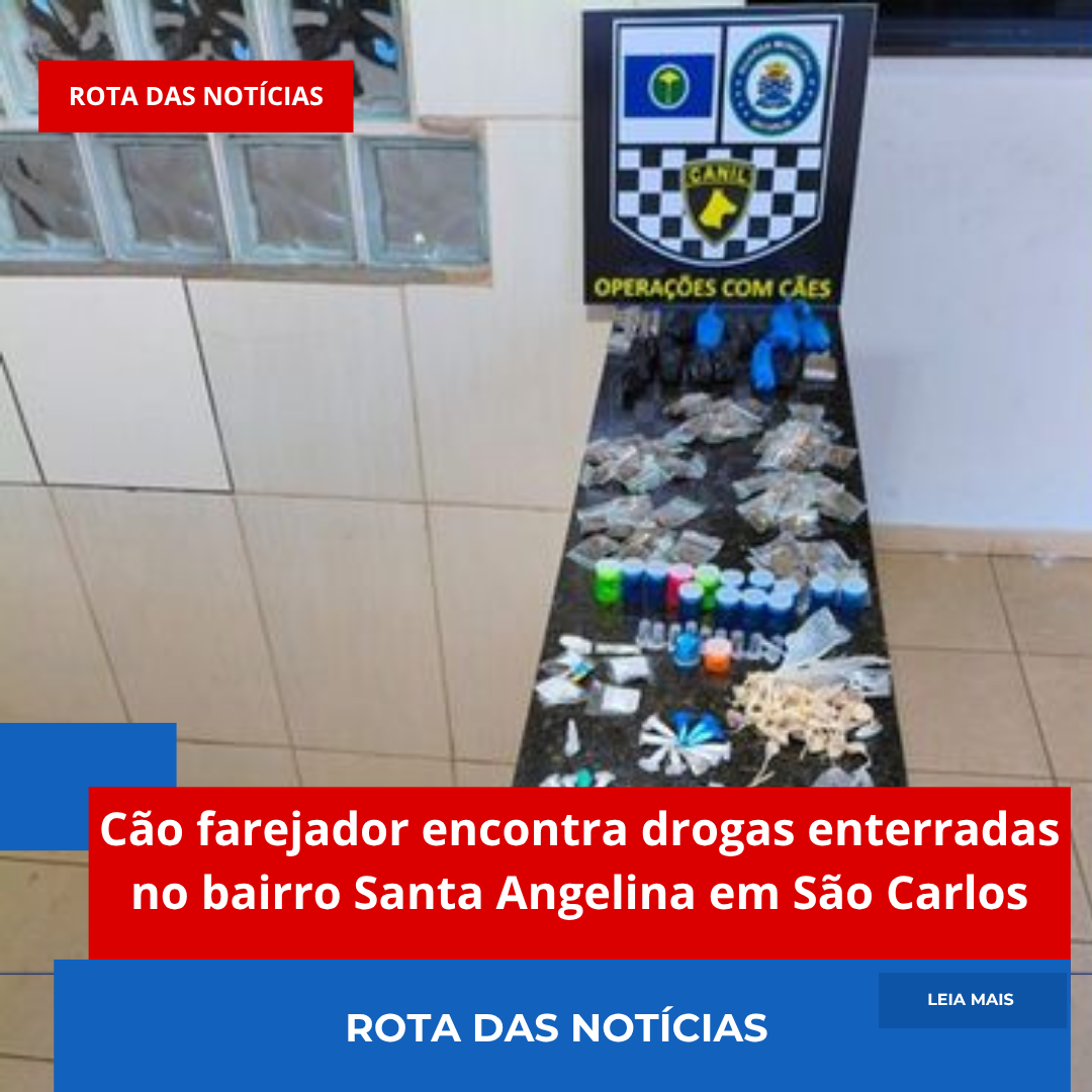 Cão farejador encontra drogas enterradas no bairro Santa Angelina em São Carlos