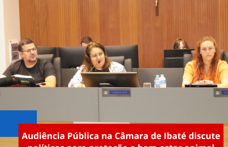 Audiência Pública na Câmara de Ibaté discute políticas para proteção e bem-estar animal