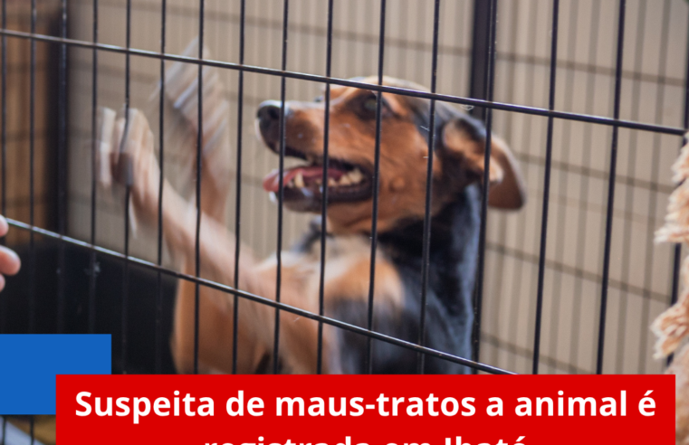 Suspeita de maus-tratos a animal é registrada em Ibaté