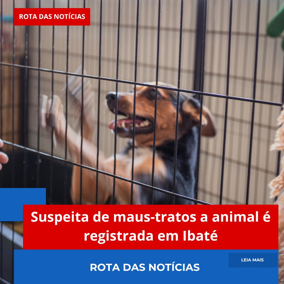 Suspeita de maus-tratos a animal é registrada em Ibaté