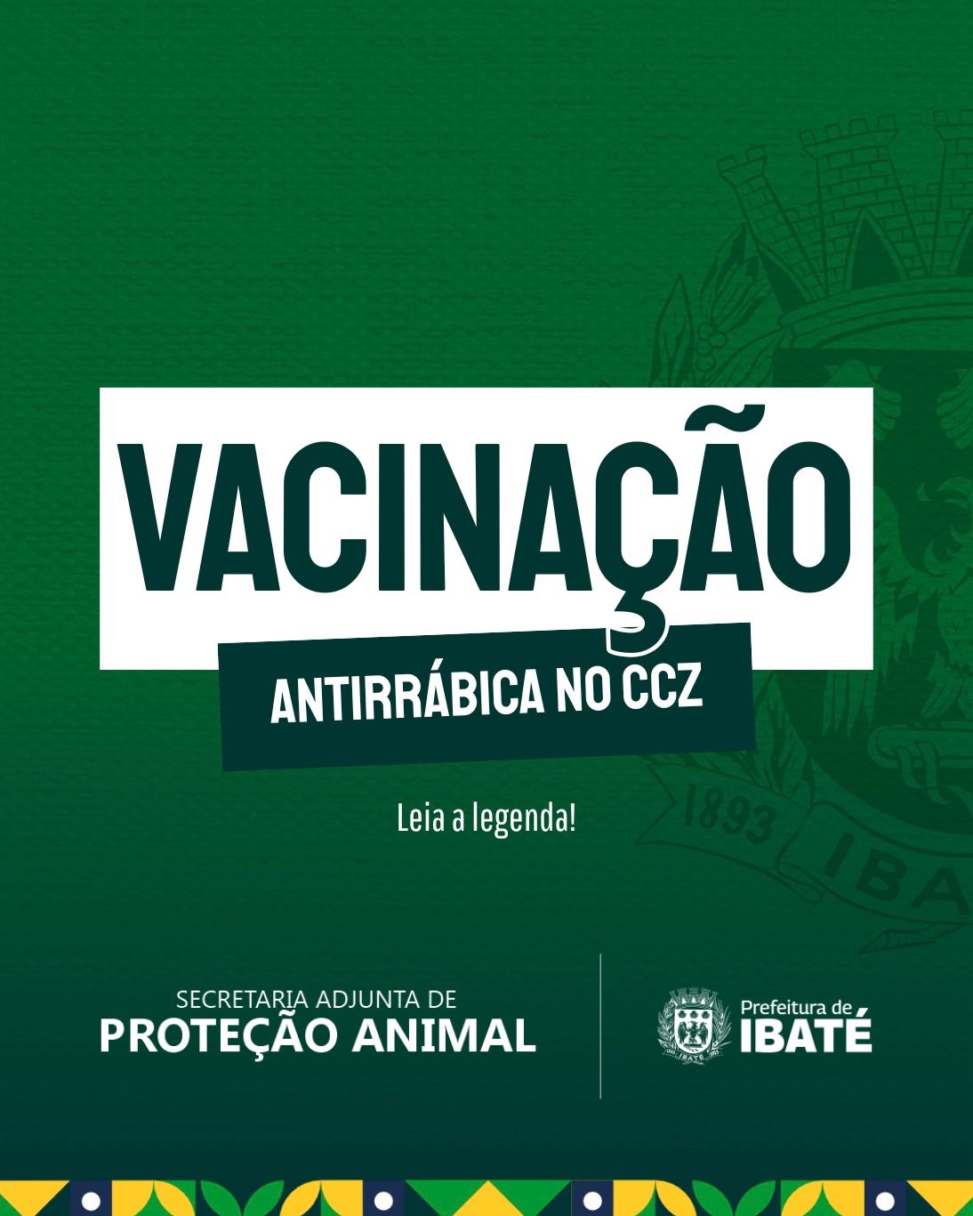 Centro de Controle de Zoonoses de Ibaté inicia nova etapa da vacinação antirrábica a partir desta quarta-feira