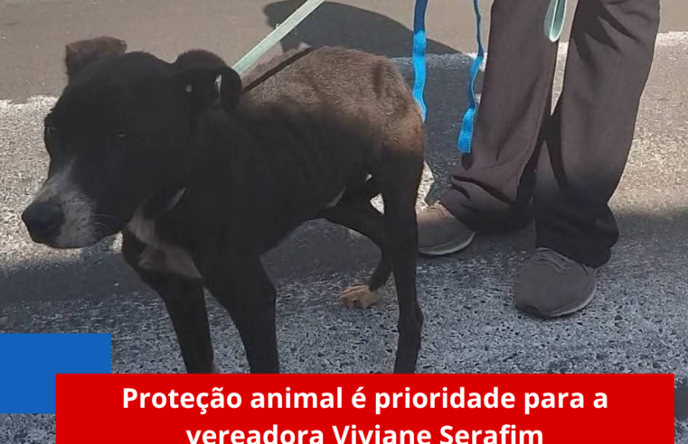 Proteção animal é prioridade para a vereadora Viviane Serafim