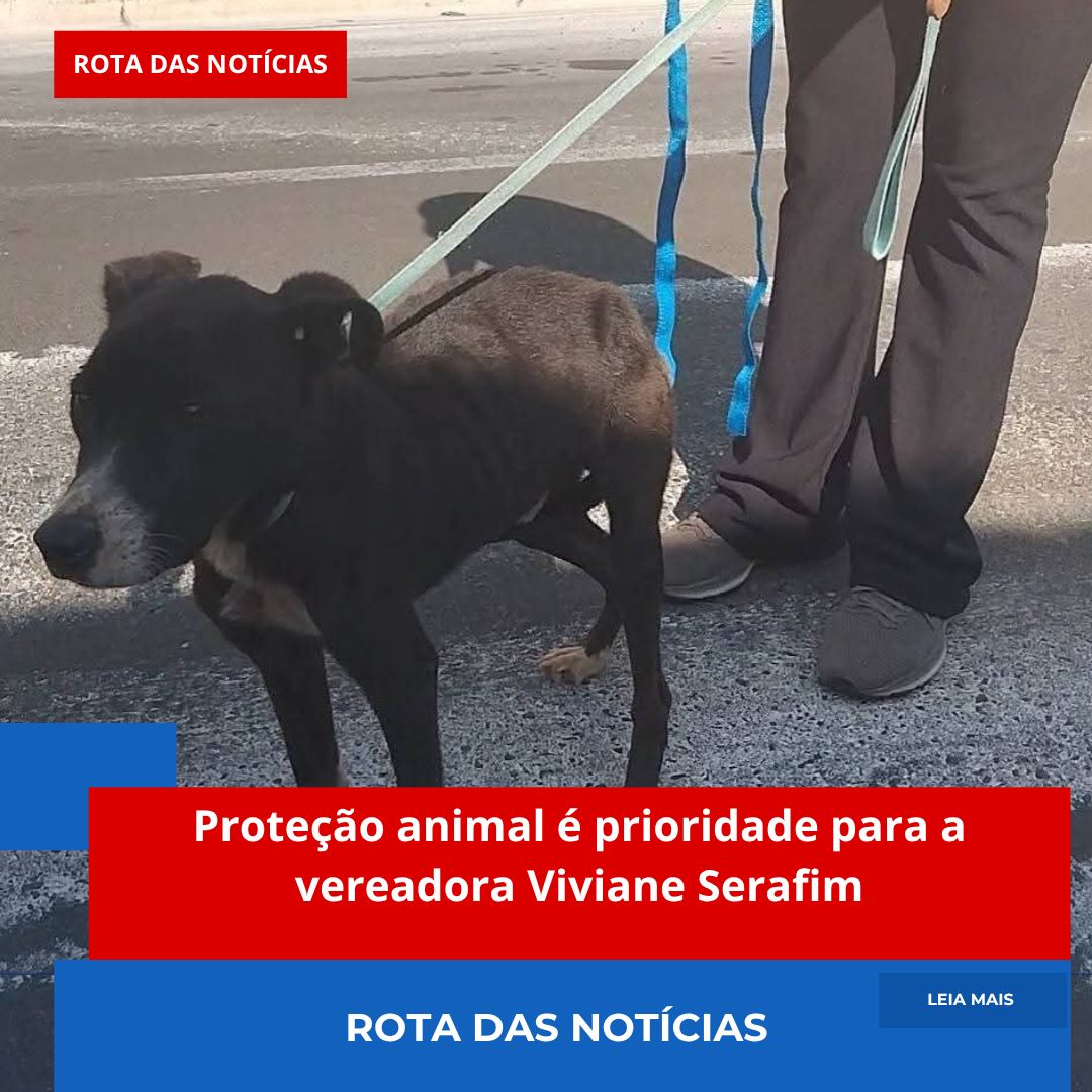 Proteção animal é prioridade para a vereadora Viviane Serafim