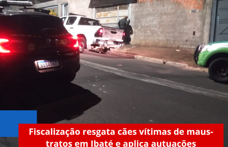 Fiscalização resgata cães vítimas de maus-tratos em Ibaté e aplica autuações