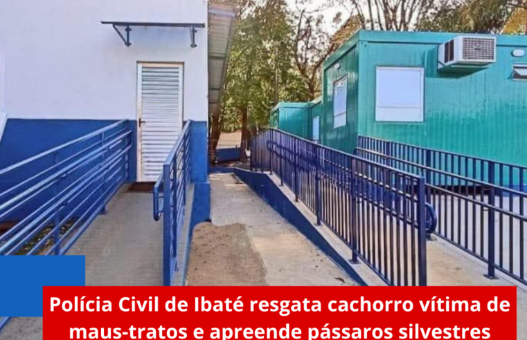 Polícia Civil de Ibaté resgata cachorro vítima de maus-tratos e apreende pássaros silvestres