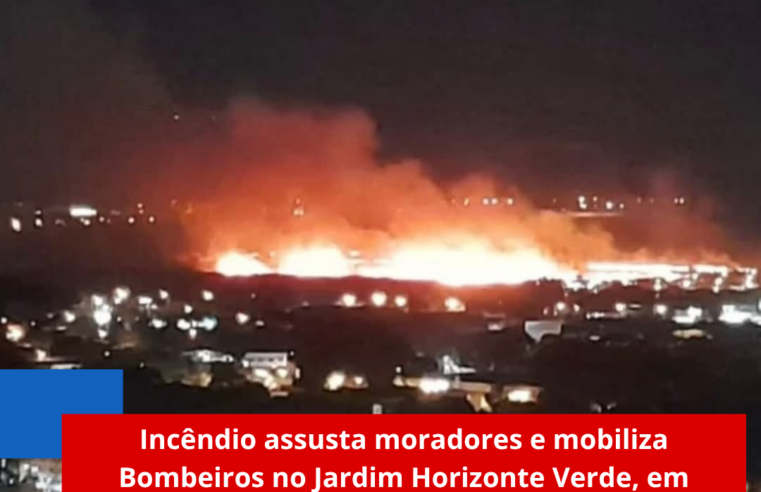 Incêndio assusta moradores e mobiliza Bombeiros no Jardim Horizonte Verde, em Ribeirão Preto