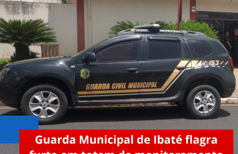 Guarda Municipal de Ibaté flagra furto em totem de monitoramento