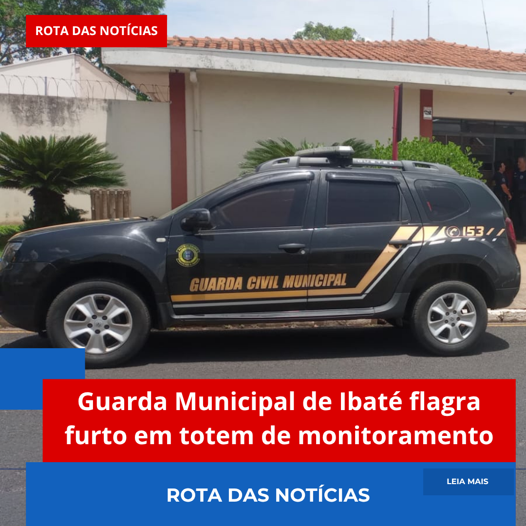 Guarda Municipal de Ibaté flagra furto em totem de monitoramento