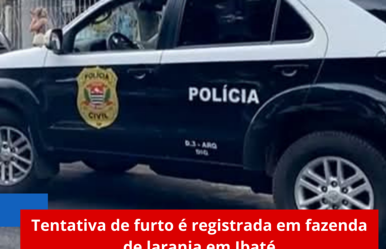 Tentativa de furto é registrada em fazenda de laranja em Ibaté