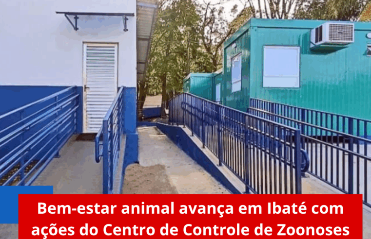 Bem-estar animal avança em Ibaté com ações do Centro de Controle de Zoonoses