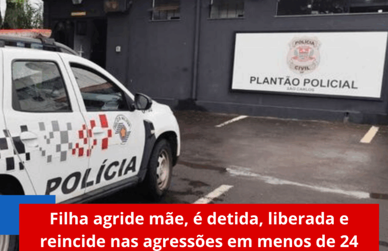 Filha agride mãe, é detida, liberada e reincide nas agressões em menos de 24 horas