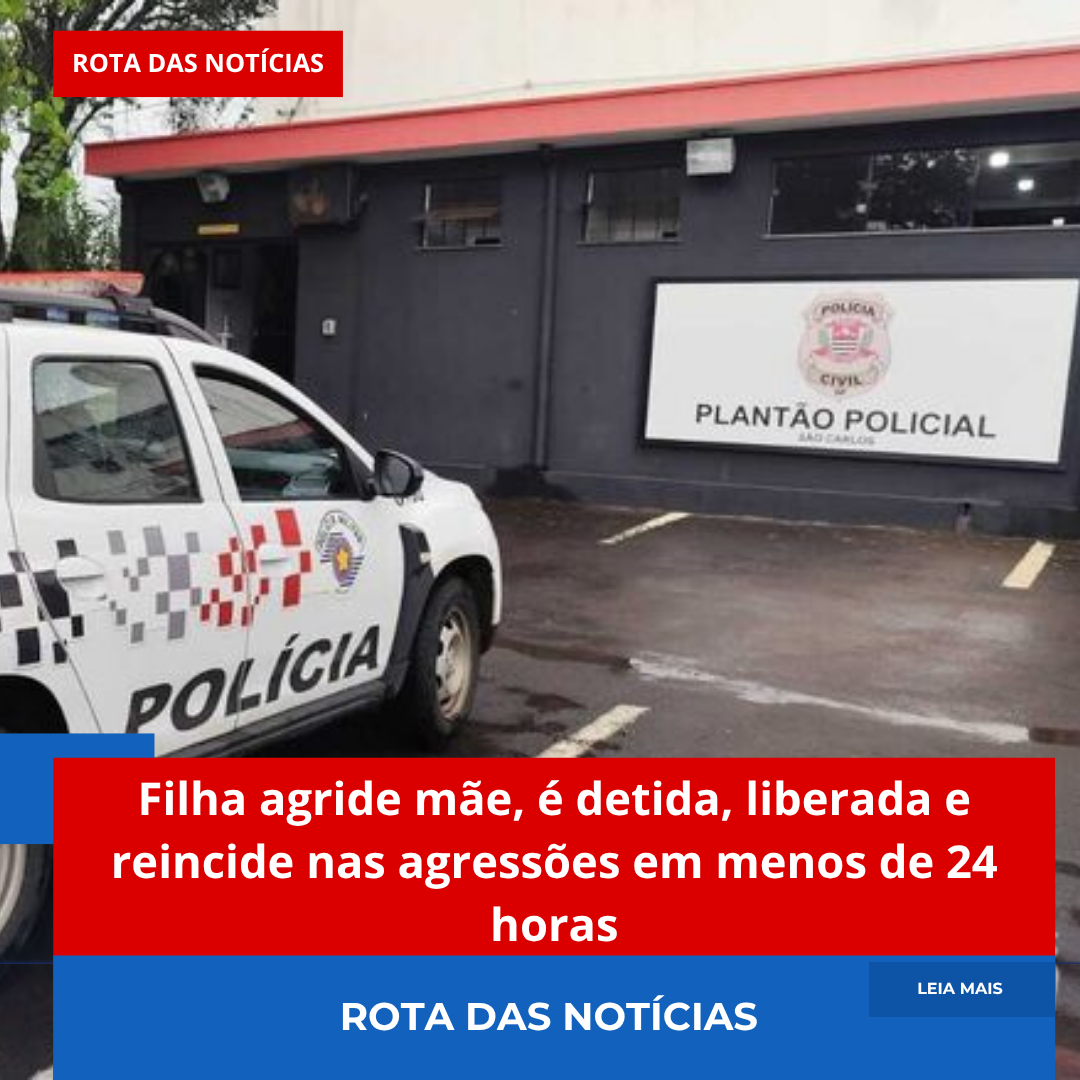 Filha agride mãe, é detida, liberada e reincide nas agressões em menos de 24 horas