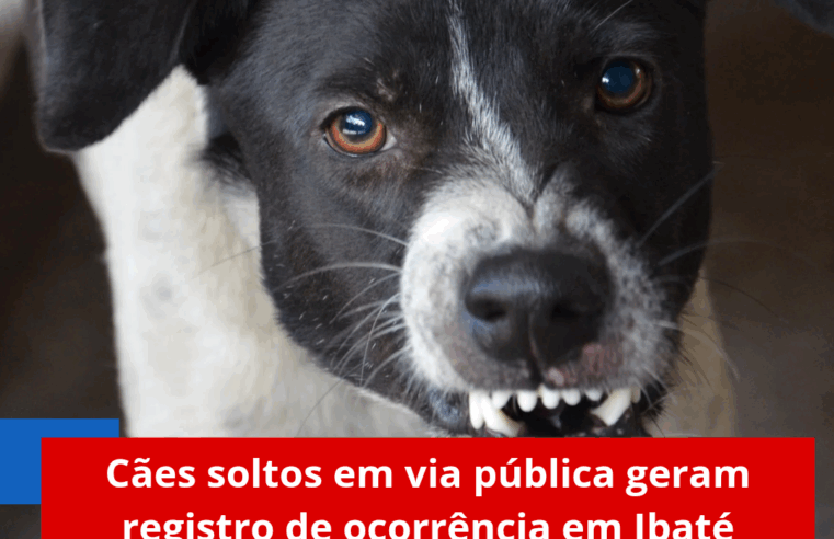 Cães soltos em via pública geram registro de ocorrência em Ibaté