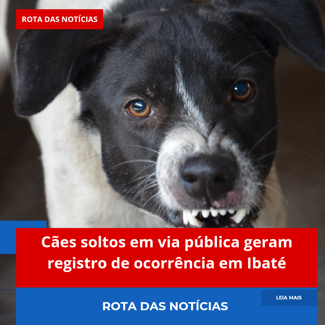 Cães soltos em via pública geram registro de ocorrência em Ibaté