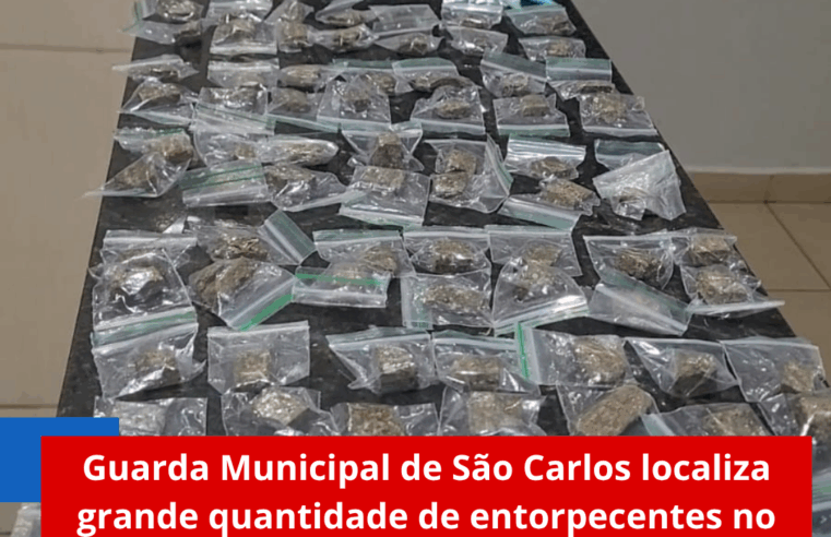 Guarda Municipal de São Carlos localiza grande quantidade de entorpecentes no bairro São Carlos V