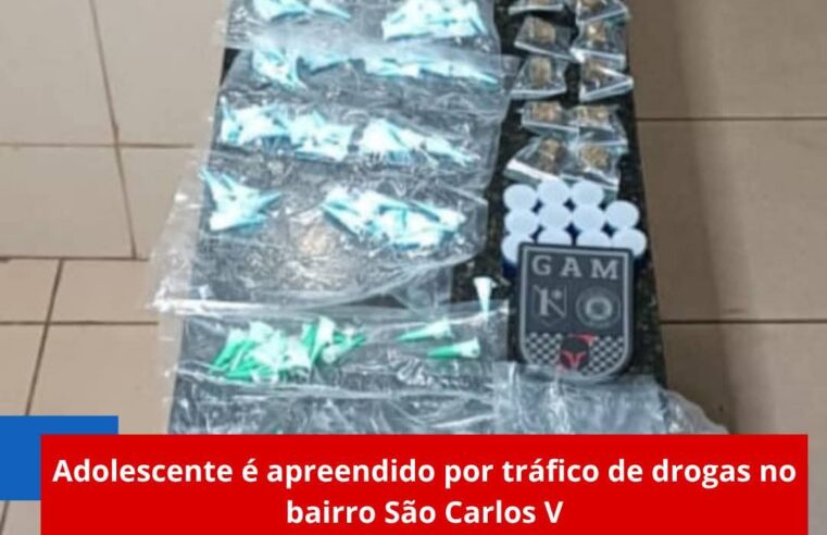 Adolescente é apreendido por tráfico de drogas no bairro São Carlos V