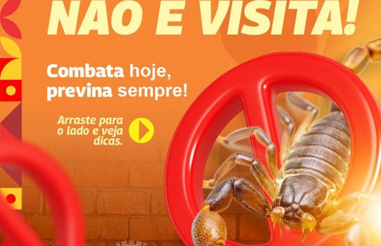 Prefeitura de Ibaté reforça orientações de prevenção contra escorpiões