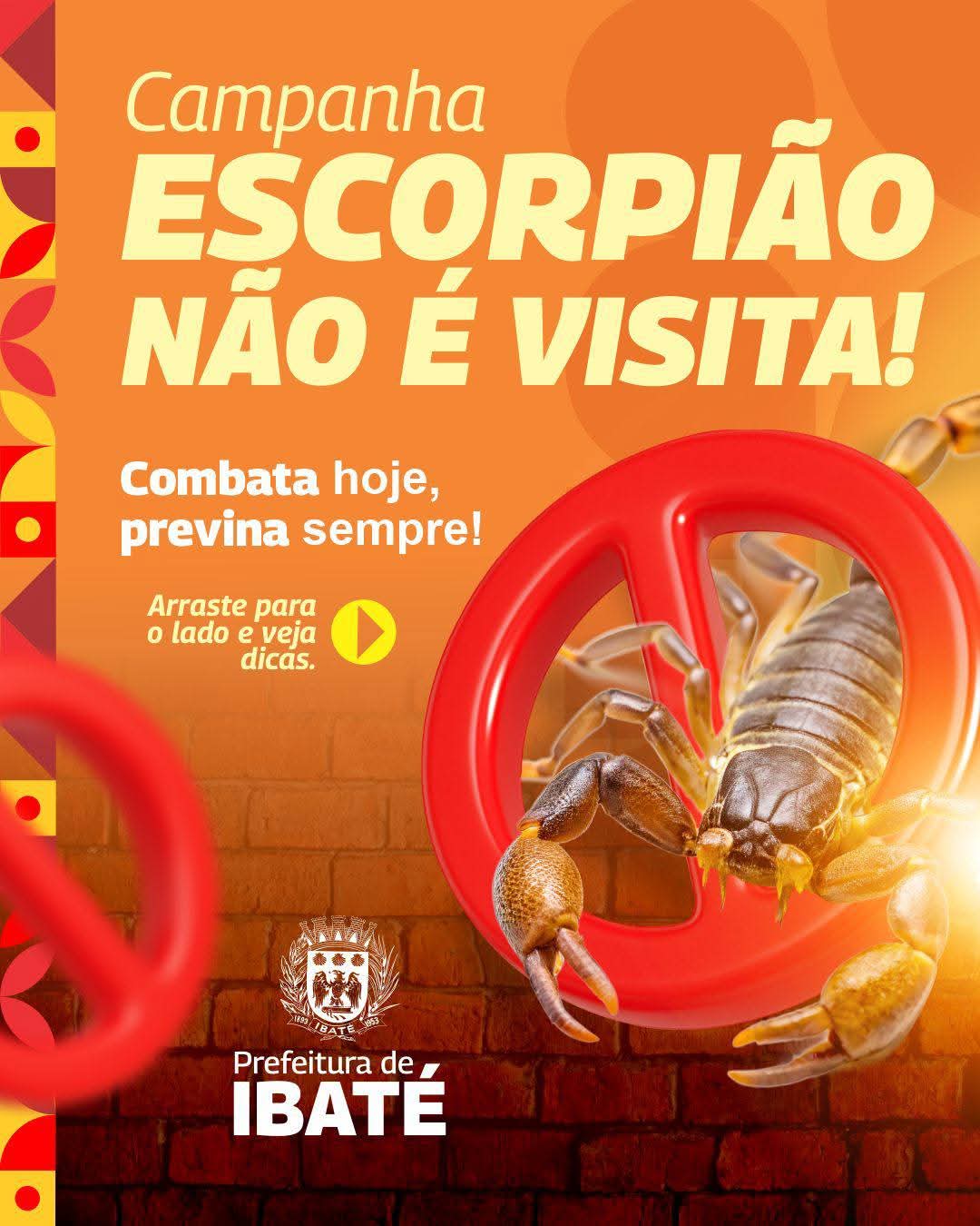 Prefeitura de Ibaté reforça orientações de prevenção contra escorpiões