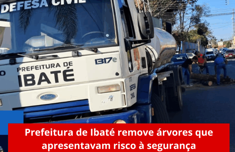 Prefeitura de Ibaté remove árvores que apresentavam risco à segurança