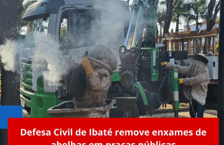 Defesa Civil de Ibaté remove enxames de abelhas em praças públicas