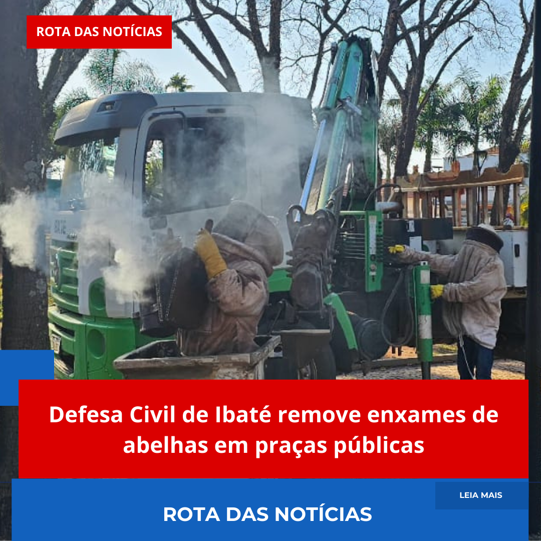Defesa Civil de Ibaté remove enxames de abelhas em praças públicas