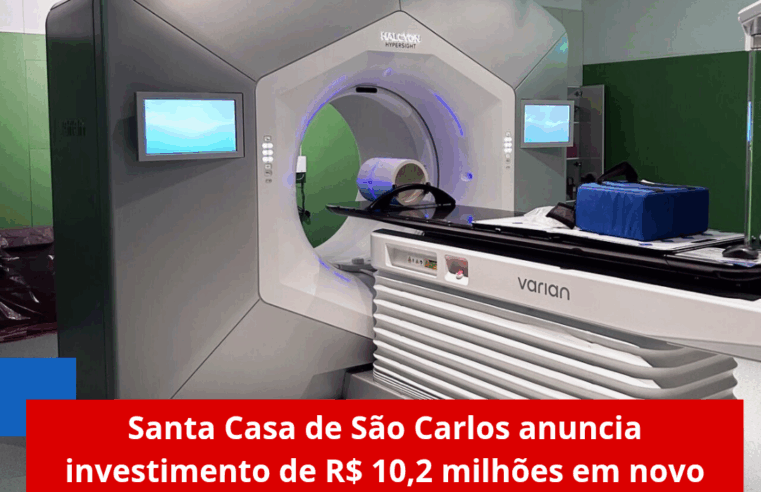 Defesa Civil de Ibaté remove enxames de abelhas em praças públicas