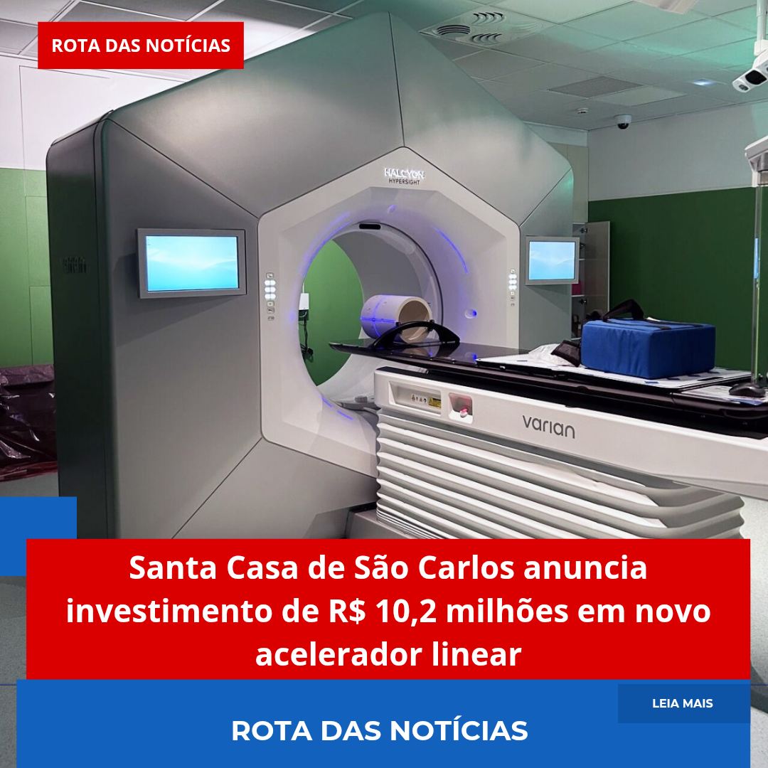 Defesa Civil de Ibaté remove enxames de abelhas em praças públicas