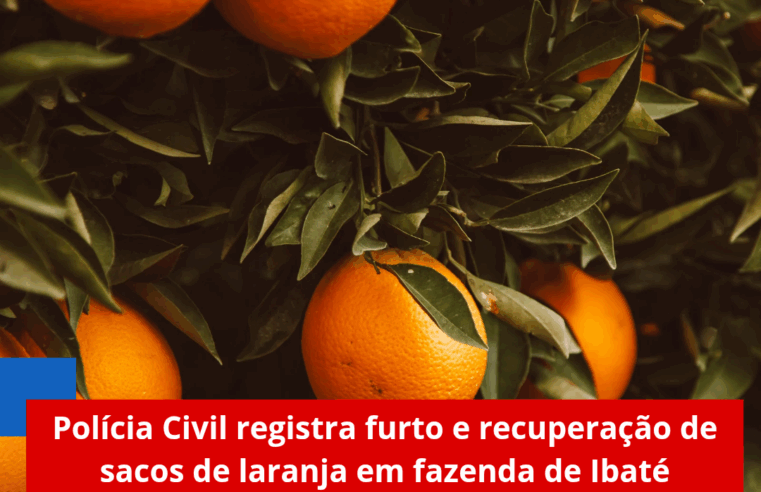 Polícia Civil registra furto e recuperação de sacos de laranja em fazenda de Ibaté