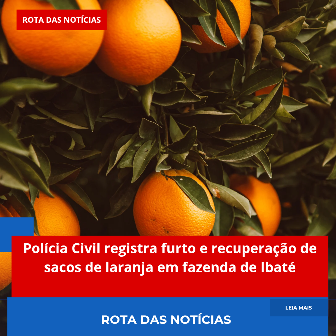 Polícia Civil registra furto e recuperação de sacos de laranja em fazenda de Ibaté