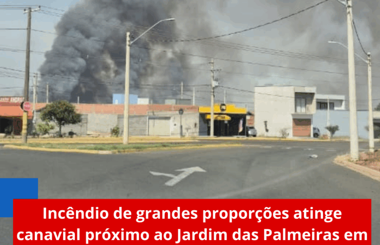 Incêndio de grandes proporções atinge canavial próximo ao Jardim das Palmeiras em Ibaté