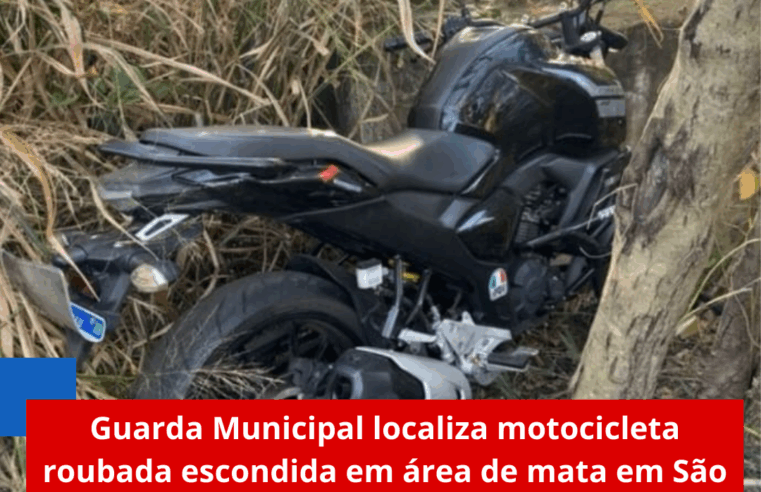 Guarda Municipal localiza motocicleta roubada escondida em área de mata em São Carlos