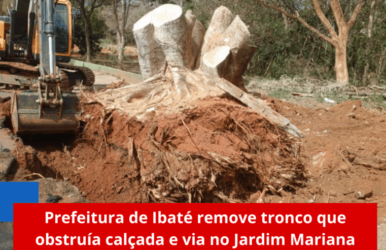 Prefeitura de Ibaté remove tronco que obstruía calçada e via no Jardim Mariana