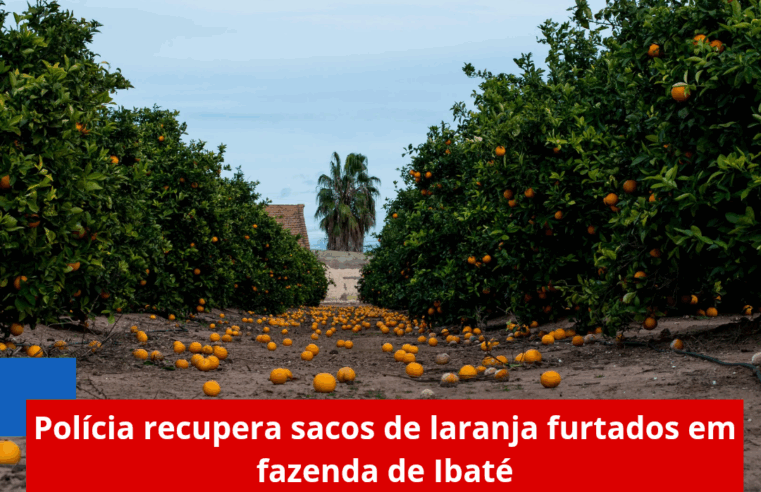 Polícia recupera sacos de laranja furtados em fazenda de Ibaté