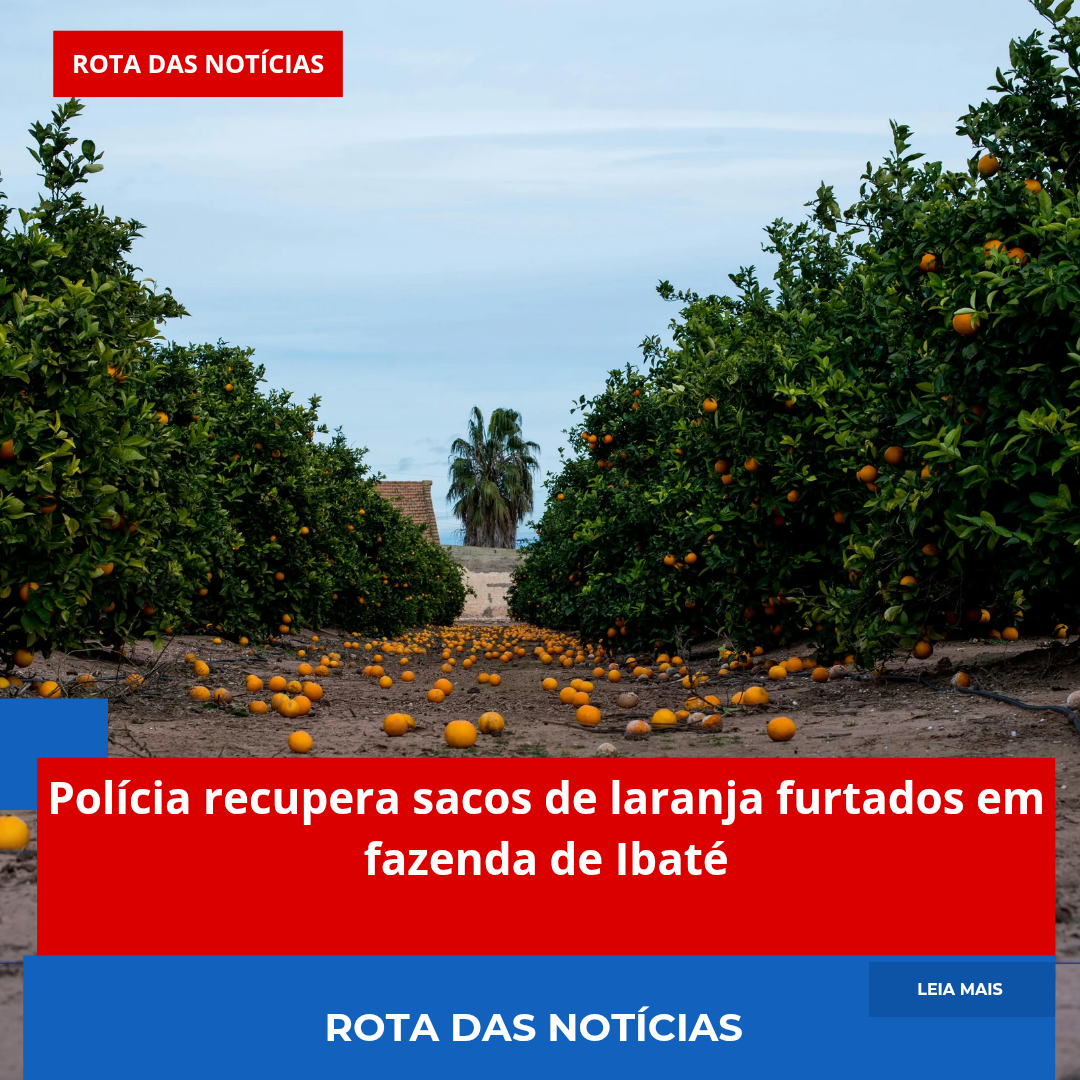 Polícia recupera sacos de laranja furtados em fazenda de Ibaté