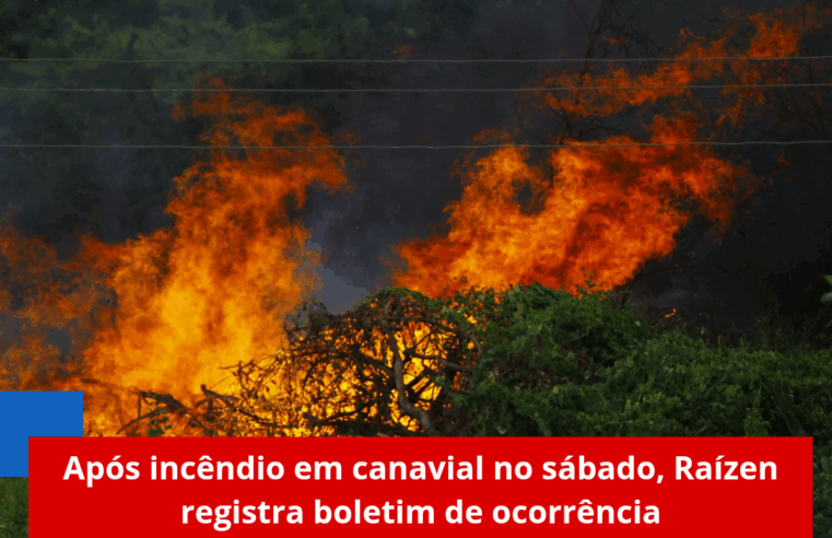 Após incêndio em canavial no sábado, Raízen registra boletim de ocorrência