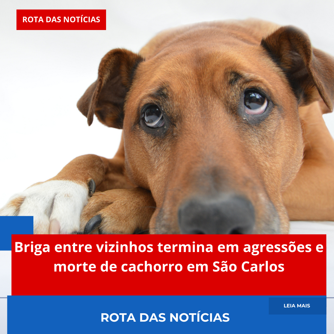 Briga entre vizinhos termina em agressões e morte de cachorro em São Carlos